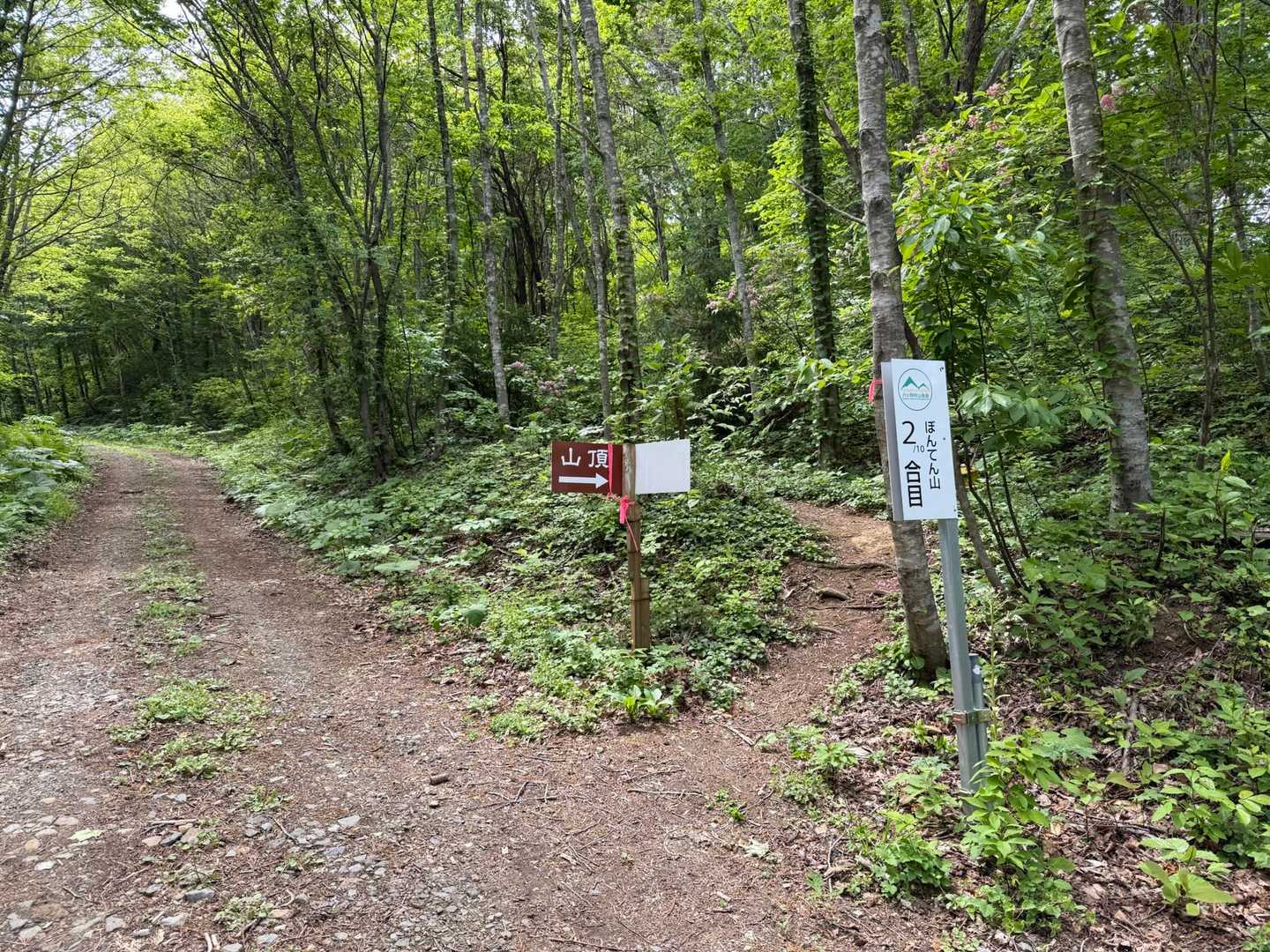 2合目は林道とぶつかりました、どこからきてどこへ行く林道でしょう🤔
