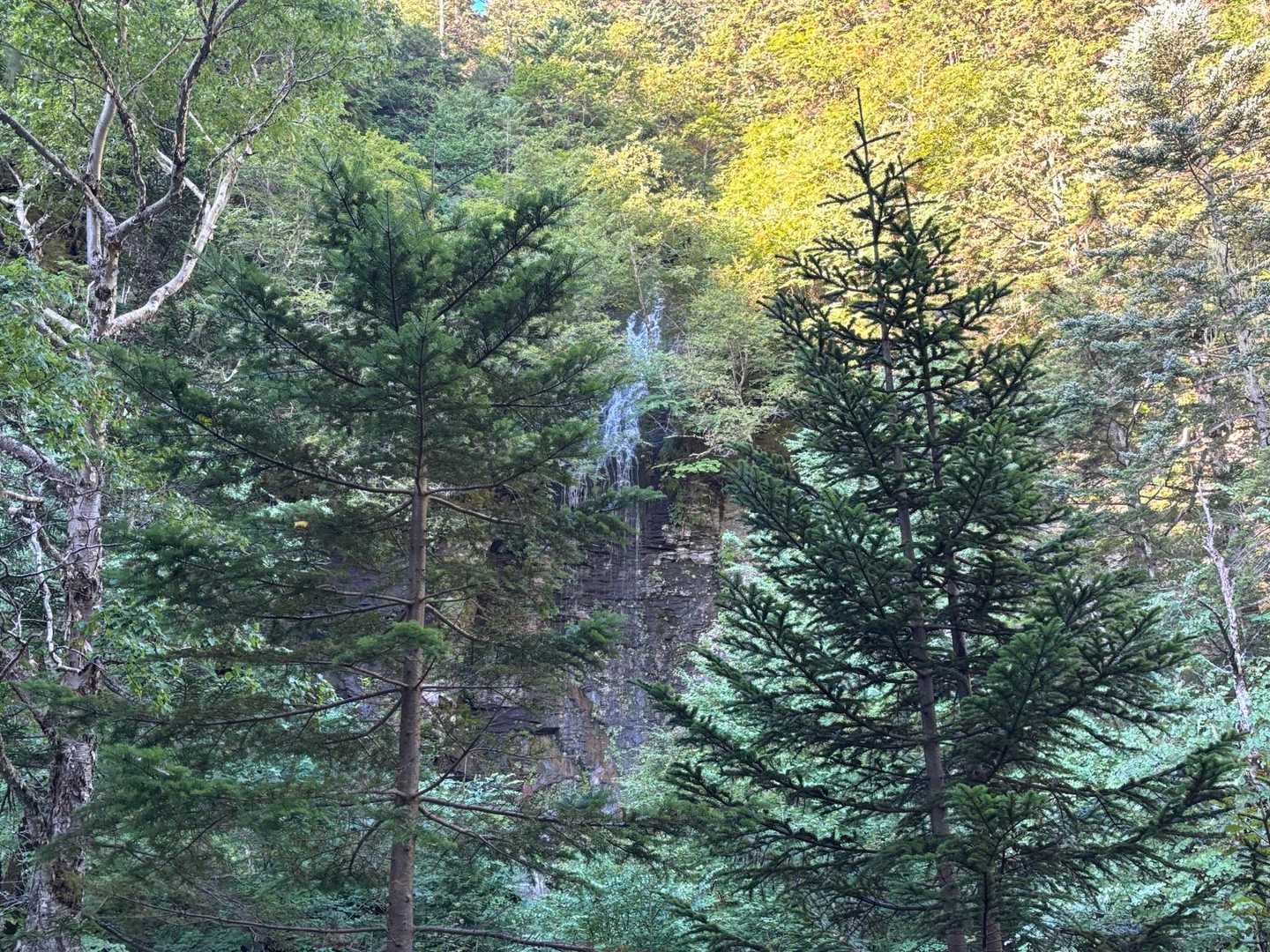 三本滝バス停-乗鞍岳-乗鞍山頂バス停 縦走コースの写真