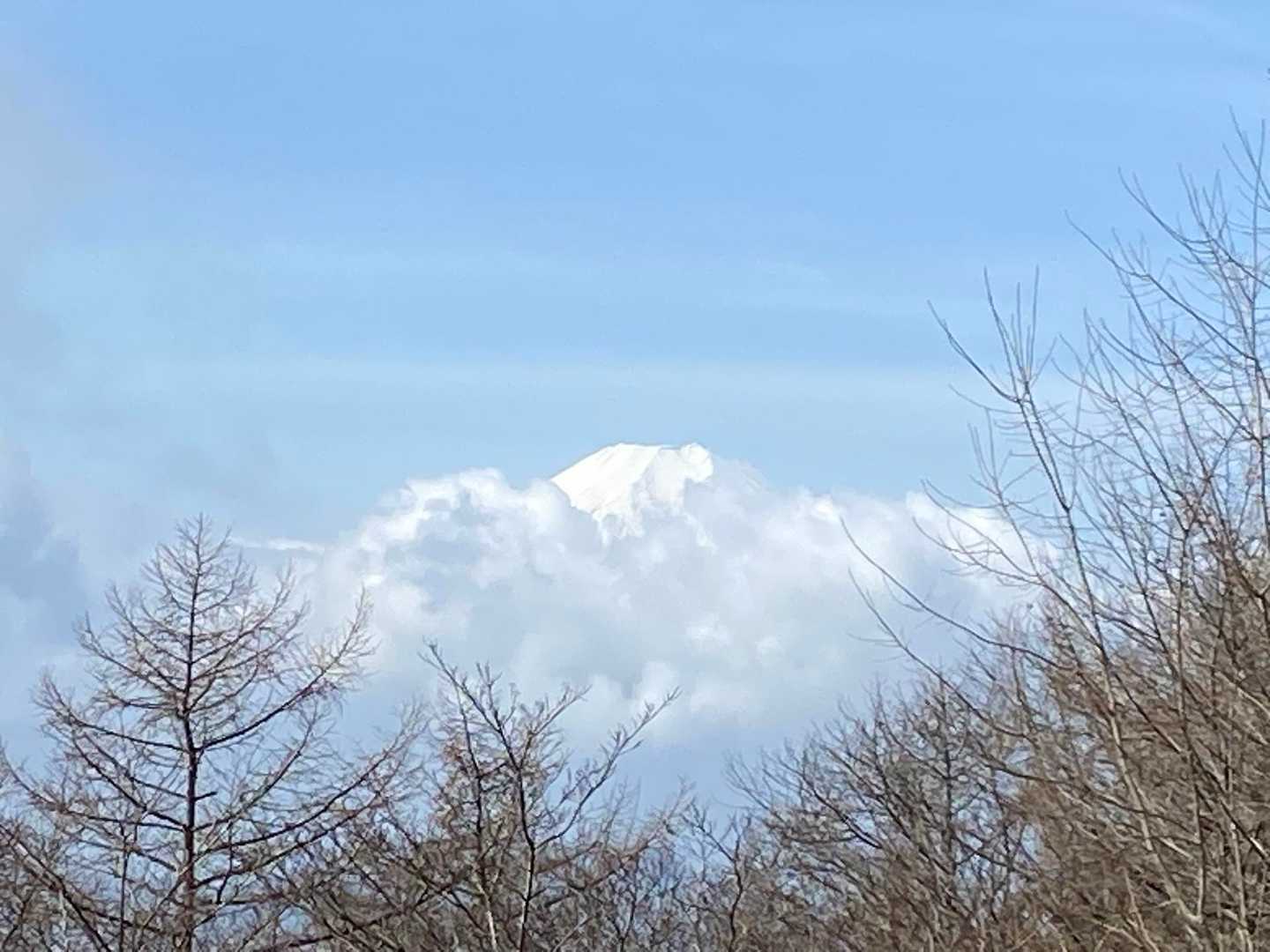梨ノ木平登山口-扇山-曽倉山-浅川峠-権現山 往復コースの写真