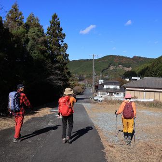 今日も良いお天気
空が青いね