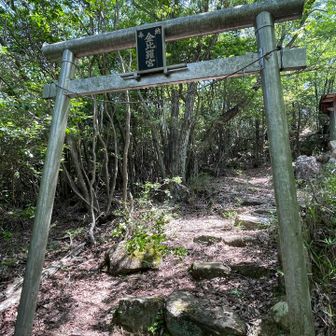 金比羅神社⛩️