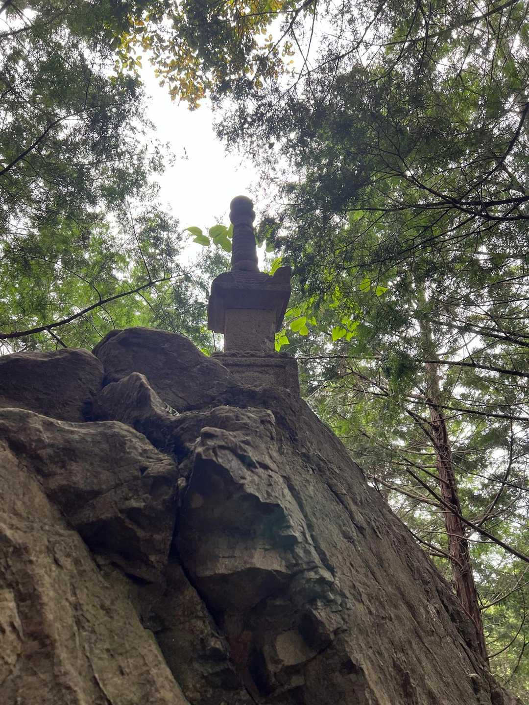 剣尾山・横尾山・行者山 縦走ルートの写真