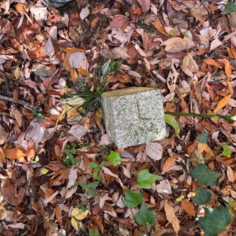 すぐ近くにも　こっちがピークか？