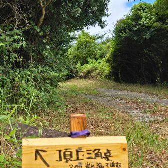 綺麗に草刈りされていました🙇‍♀️💦💦