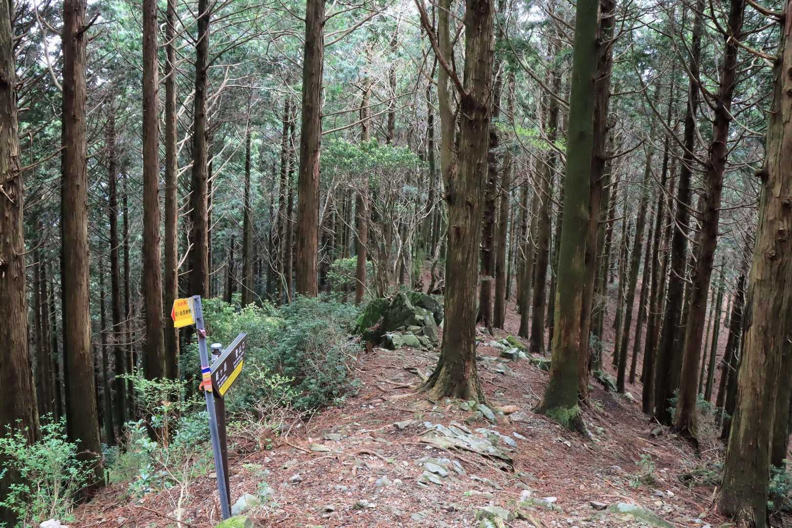 帰りは新登山道から