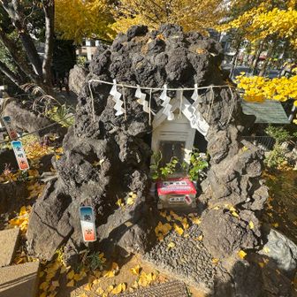 山頂
周りの石は、富士山の溶岩
江戸時代には、富士山に登れば罪が消えると信じられていた。富士塚に登れば、同じ霊験が得られると信じられていた🤔
誰も登っていなかったのに、後から外人の人達がのぼってくる😅