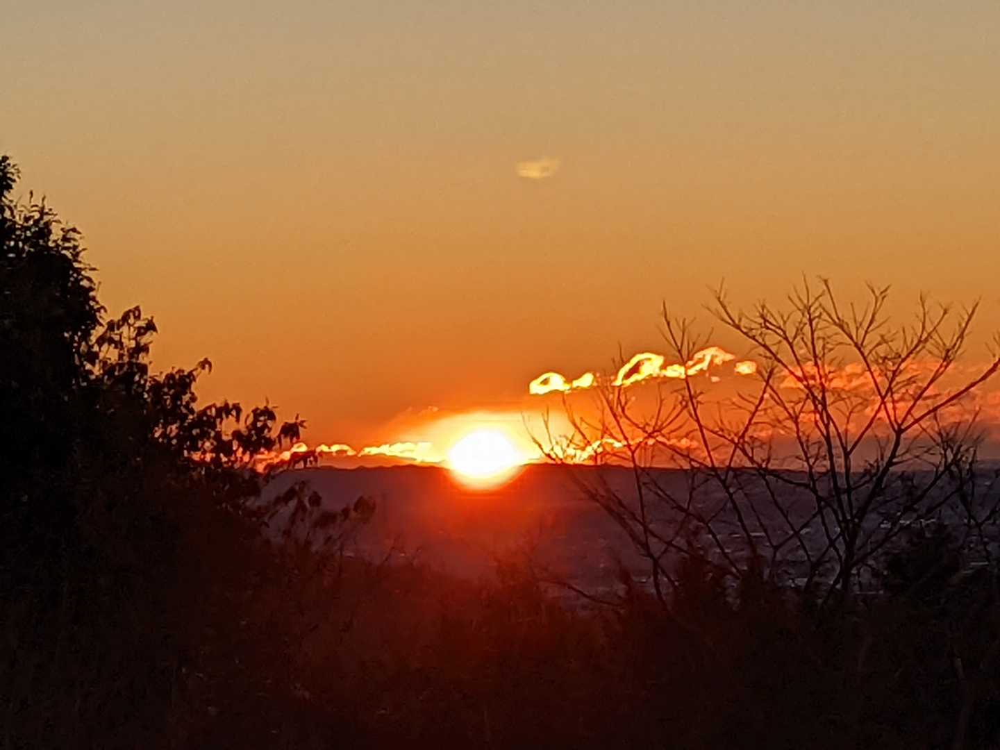 竜ヶ石山の写真