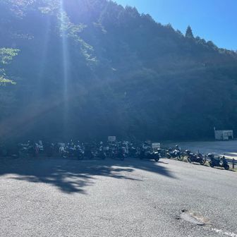 バイクも見たことない数