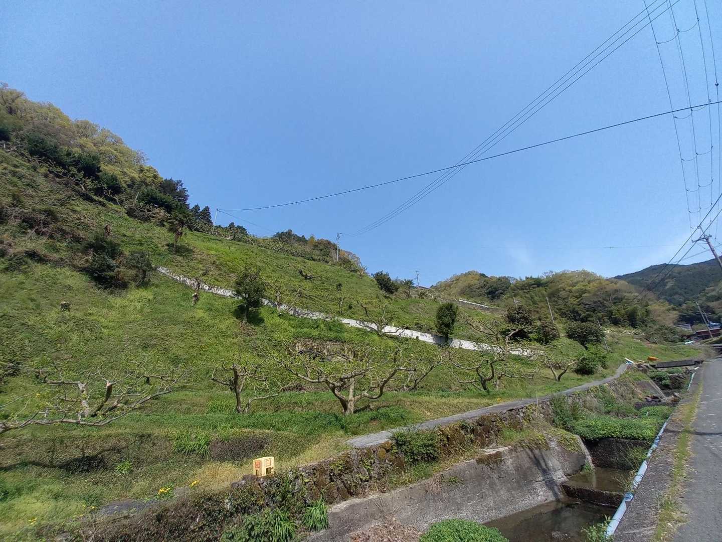 のどかな里山を歩き登山口へ😸