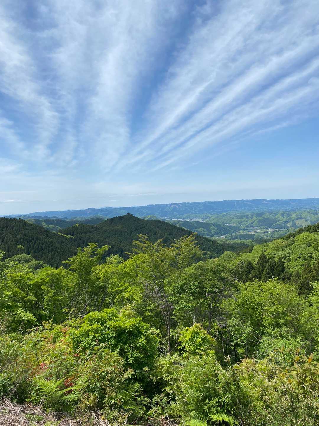 あゆのつり橋-檜山 周回コースの写真