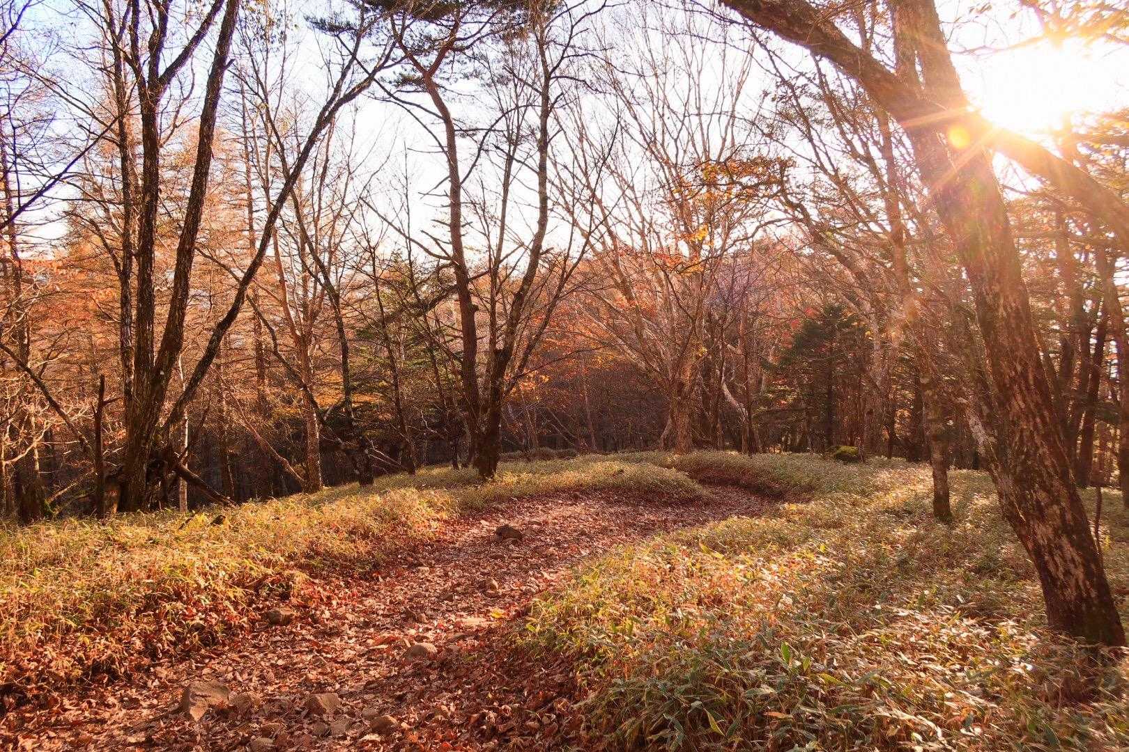秋っぽい風景🍁