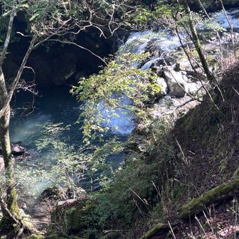 墓雨の滝、結構な下りのため止める🫥