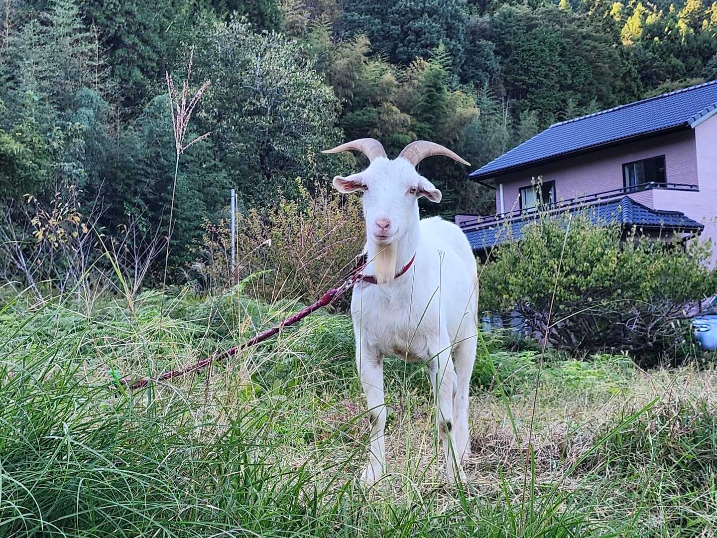 「お帰り、早かったねぇ。」
「ただいま😃🏠✨無事下りれた。また来るよ👋」