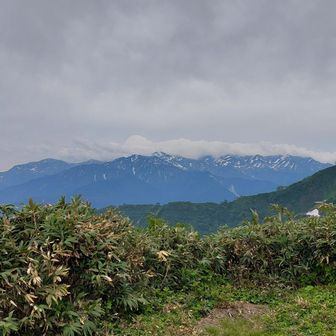 駒ヶ岳 目の前に 奥〜には白馬岳あたりも