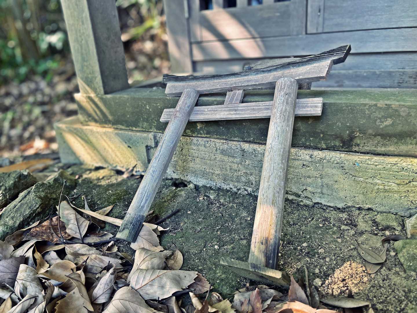 小さな鳥居が置かれてます。