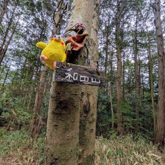 相棒もお疲れ様💕