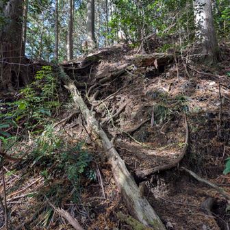 最後の激くだり