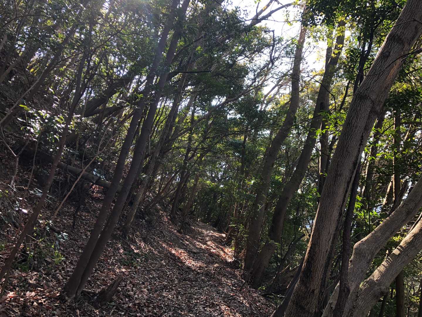 天気が良くて、気持ちいい☀️