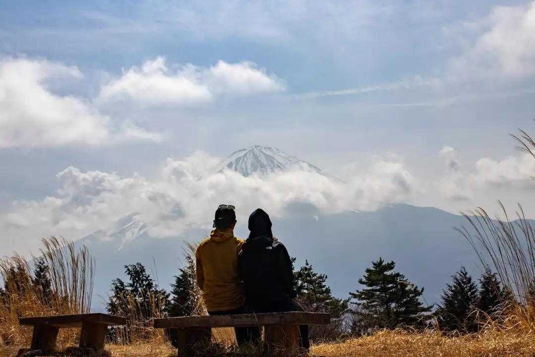 目の前にそびえる富士山と眼下に広がる青木ヶ原樹海の眺望・三湖台の写真
