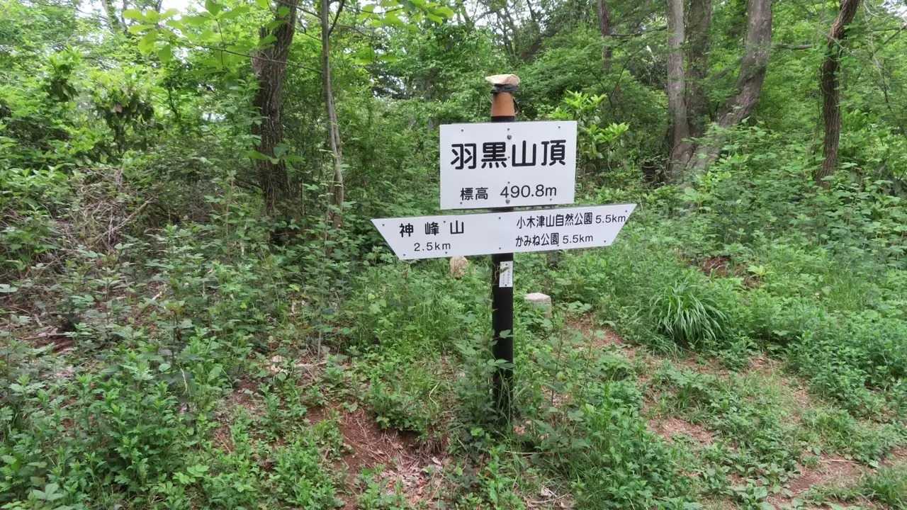羽黒山の写真