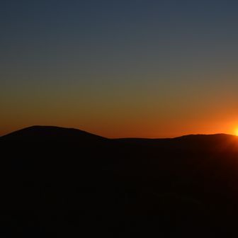 にっちぷらんつ