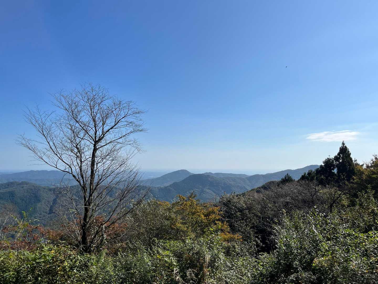 大川戸登山口-雨巻山 往復コースの写真