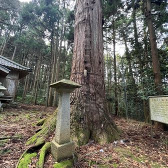 無事下山♪
ありがとうございました🤲