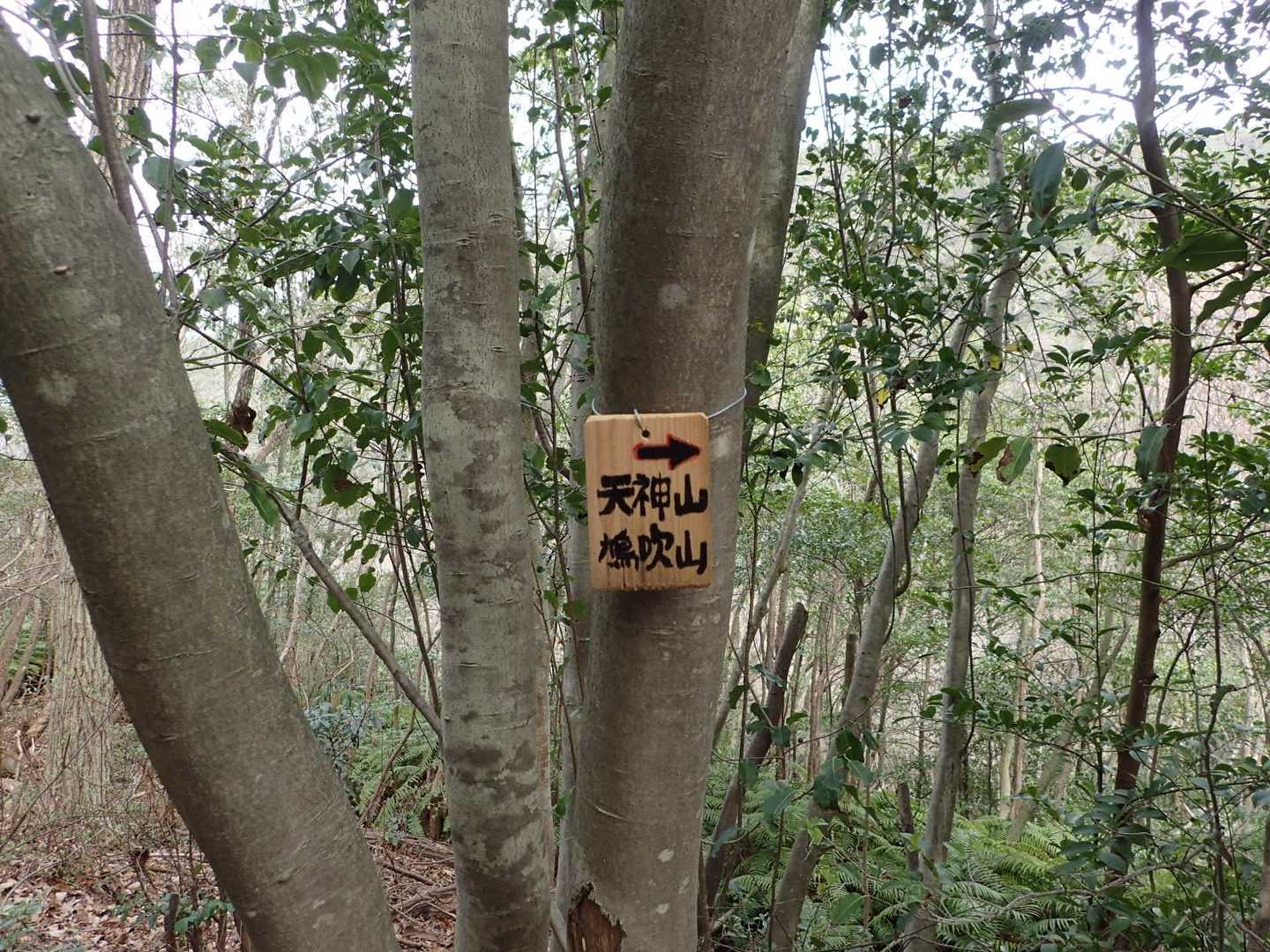 天神山へ