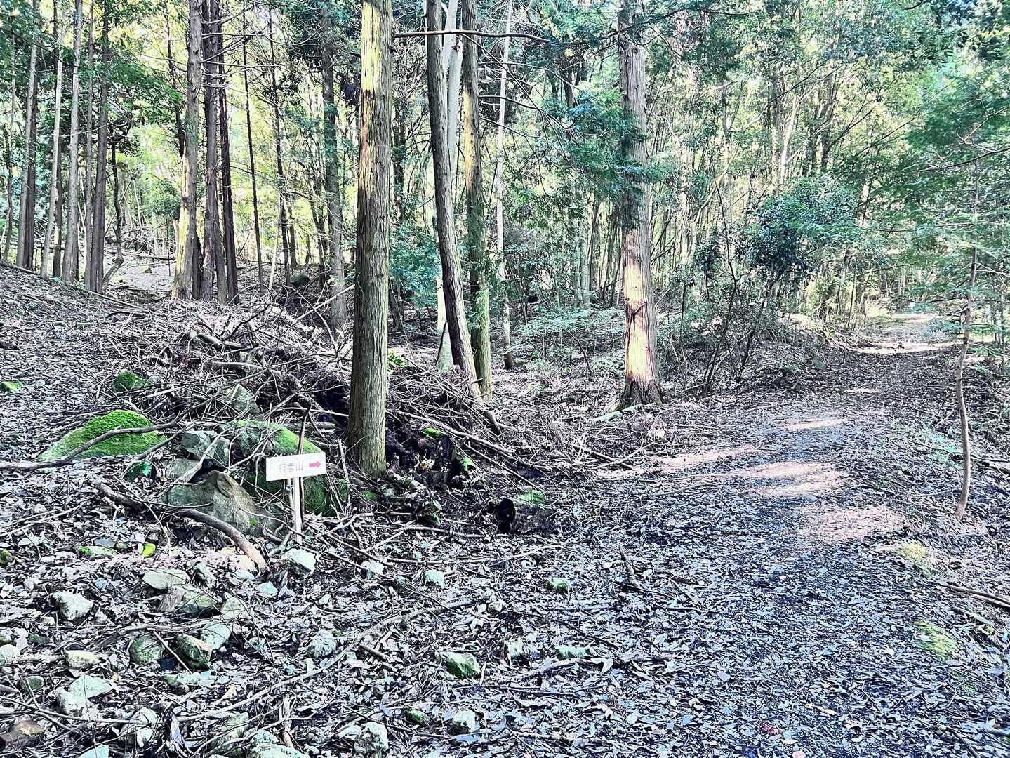 私の足に優しい山道🦶