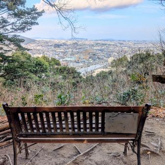 ベンチあり😺
特等席です🩷