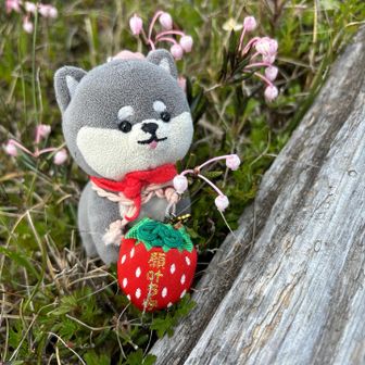 やっほっすー☆彡