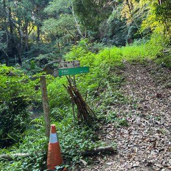 YAMAP赤線が無い右側の道が千歩山への近道｡