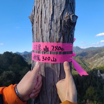 本日3座目の羽黒山🗻登頂～✨
