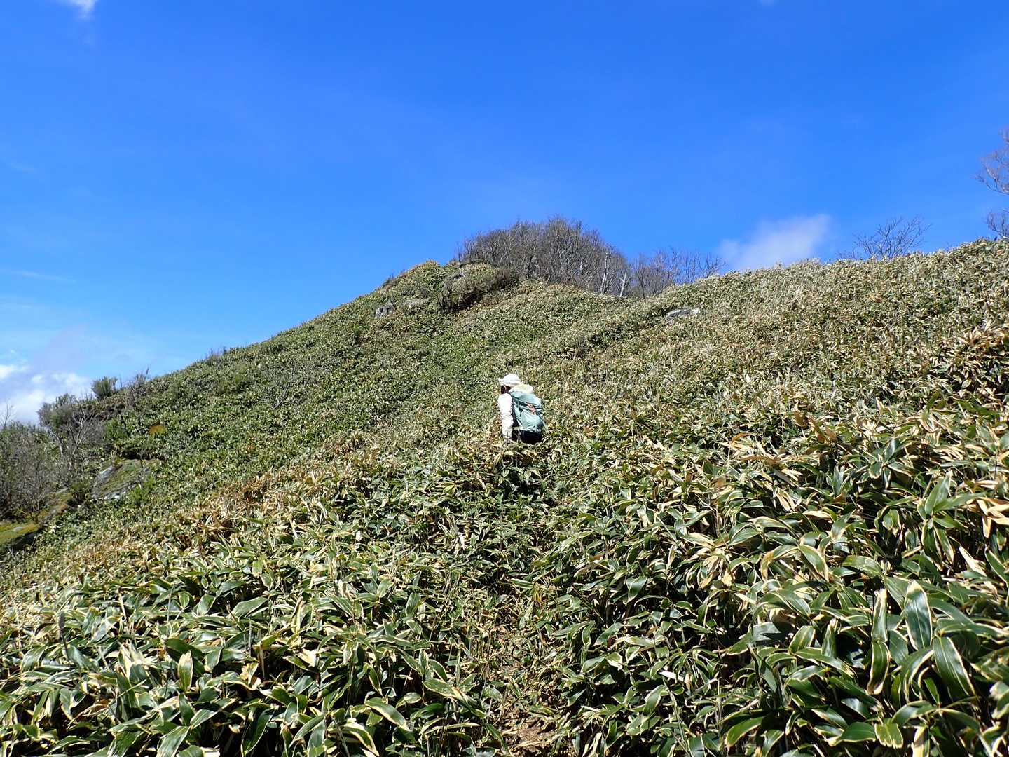平家平-冠山-一ノ谷越-獅子舞の鼻-大坂屋敷越-大永山トン 縦走コースの写真