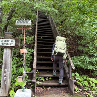階段からすたーと
蒸し暑い