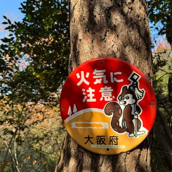 リスの看板🐿️ここは火気注意⚠️