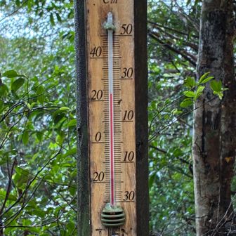 気温は、23度！
でも、暑い、暑い🥵