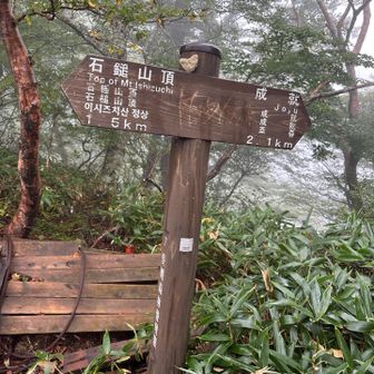 山頂まではまだまだ
霧で、帽子もザックもびちゃびちゃ