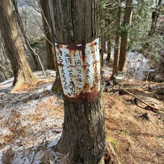 このシリーズの看板が好きなんですよ〜
外山のは熊🐻バージョン✨
熊🐻といえば単独行の遭遇する確率が高いらしい😆💦静かにやって来るから❓熊🐻が気づくのが遅くなり、（熊🐻は臆病で人気を察知すると逃げたり隠れたりするらしい。アーバンベアは別として⁉️）お互いにバッタリ出会ってしまったよ〜という感じみたい😅
単独に健脚さんの速さが加わると熊の逃げる準備が追いつかないらしい🤔⁉️
鈴🔔と歌♪❓は山登りの必須アイテム‼️怪しい音で熊に出没を知らせよう🗣️
山は熊の生息地🐻居て当たり前を忘れないようにしないと😆💦
単独行が多いもので😅
「熊った」にならないように〜❗️