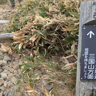 違うルートで降りるよ〜