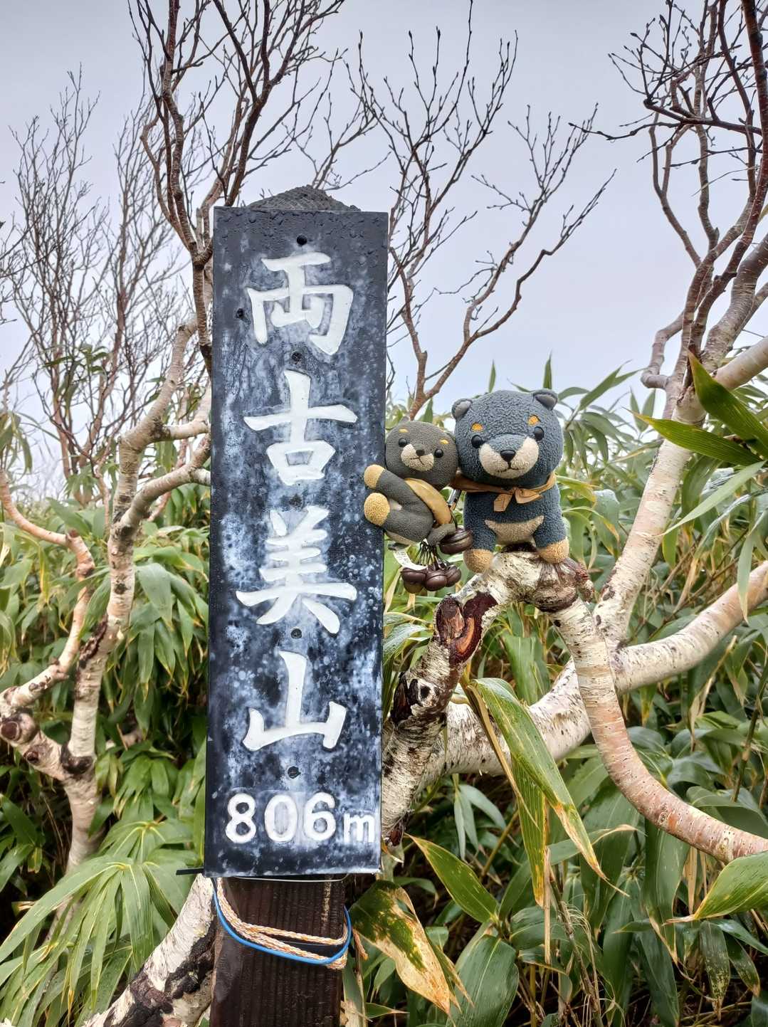 両古美山🐶
濡れ笹薮でズボンも靴もベッチョベチョ😫😫😫
もうや～めた🐶🖐