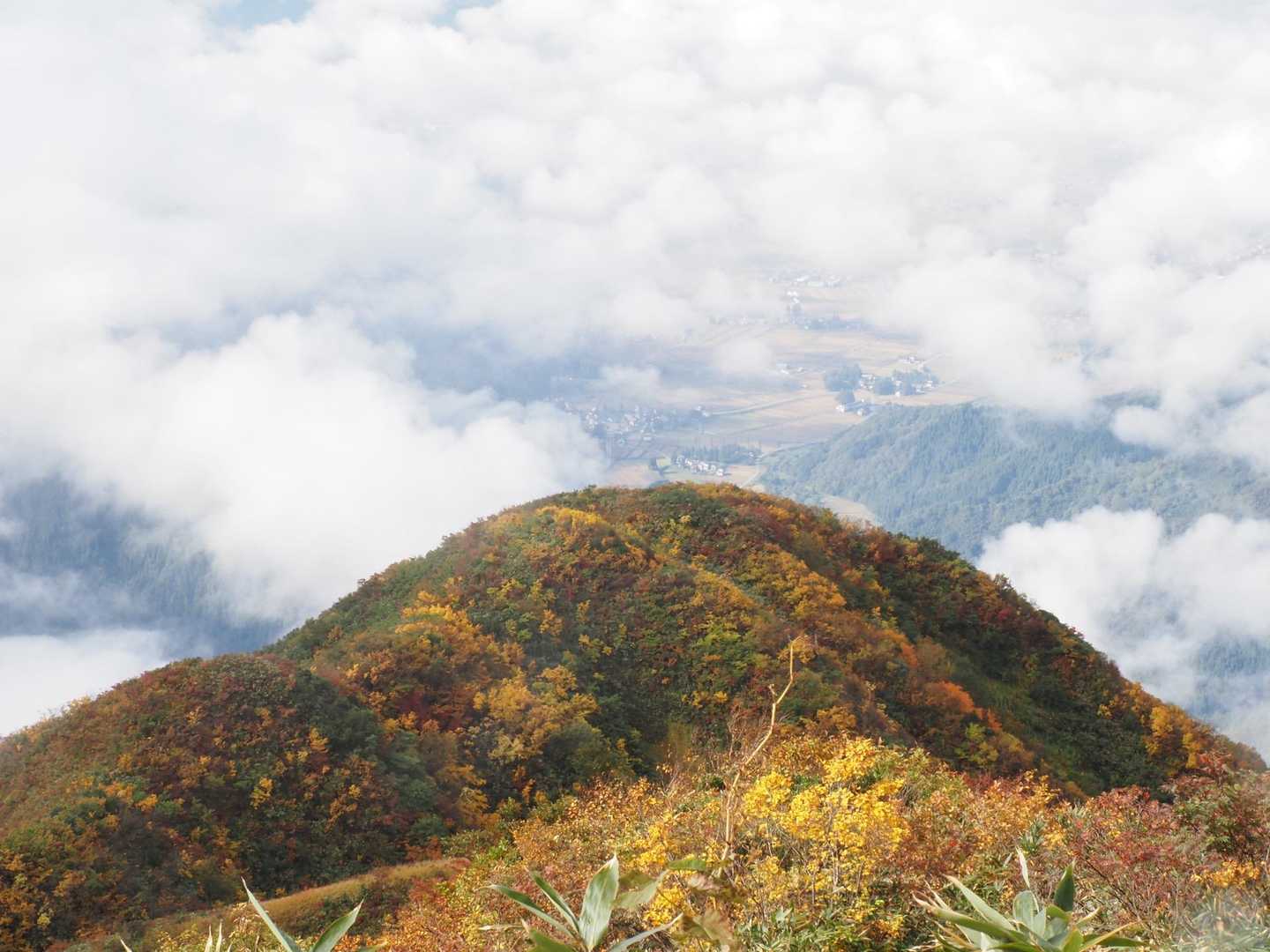 晴れてました。