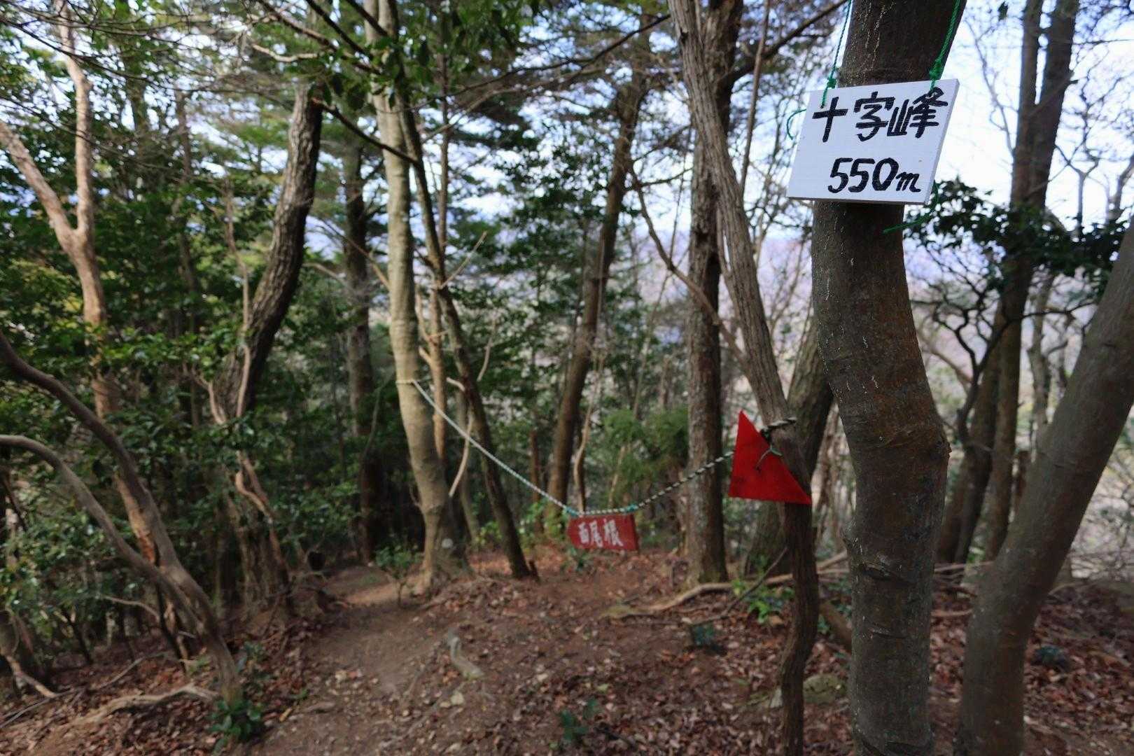 ここから西尾根方面へ
