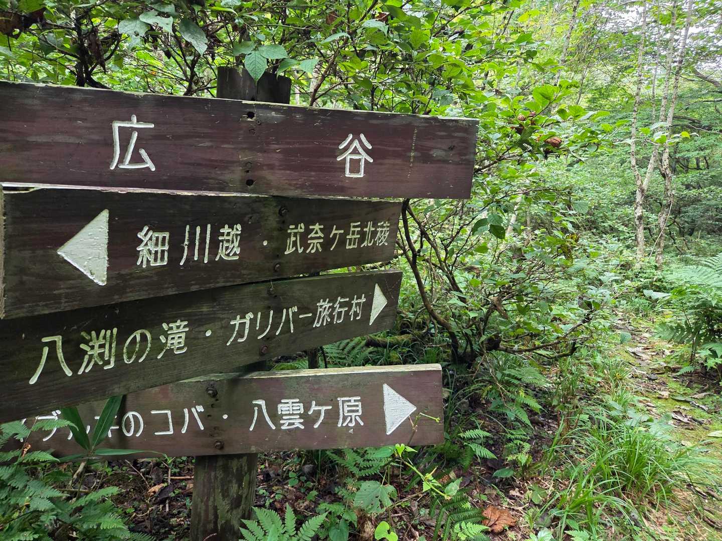 広谷。