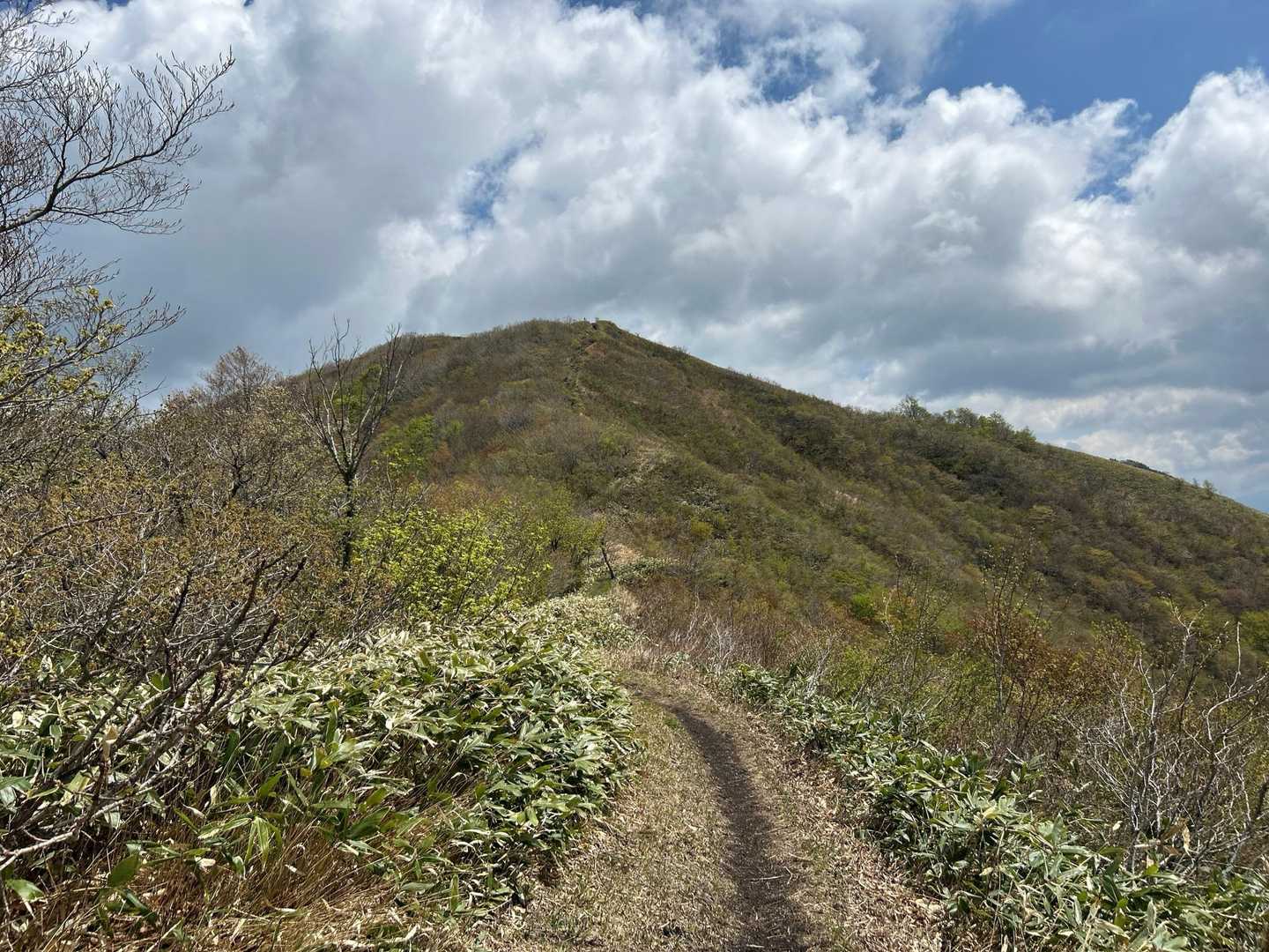 上蒜山登山口-槍ヶ峰-蒜山 往復コースの写真