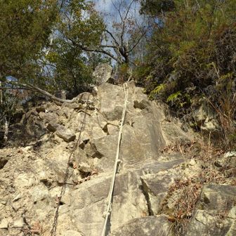 下りは、ずっとこんな感じ