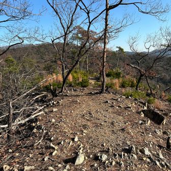 この先、YAMAPではルートになっていませんが、歩行軌跡があるのでこのまま尾根沿いを行ってみます。