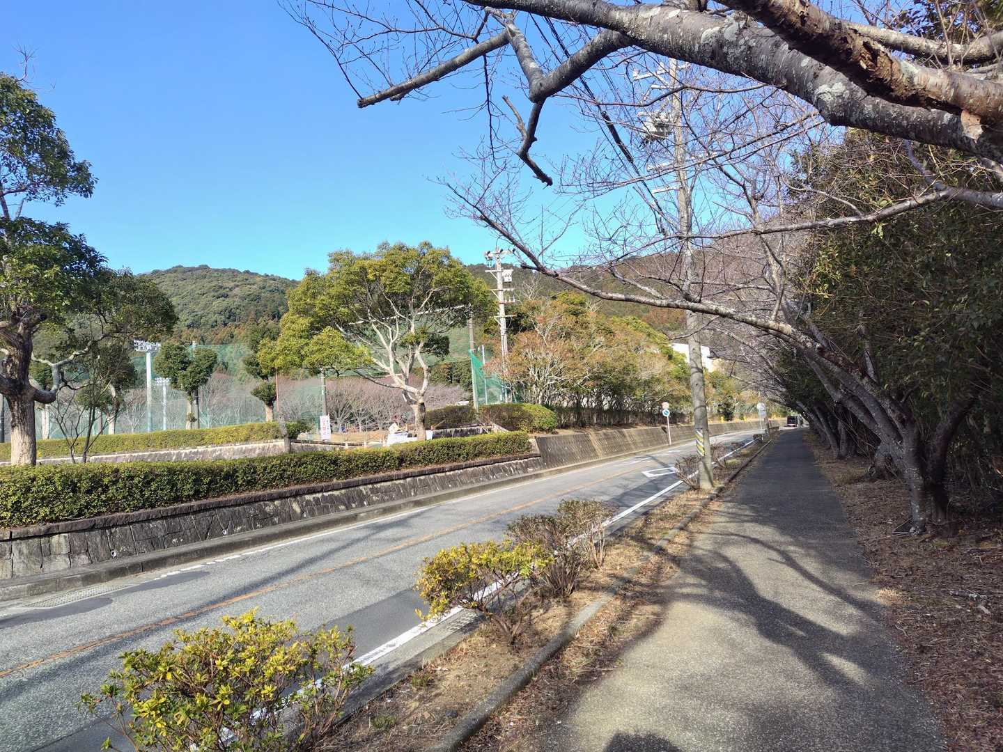 喉の部分からスタート🚶
歩道を歩いて小衣笠登山口に向かいます
