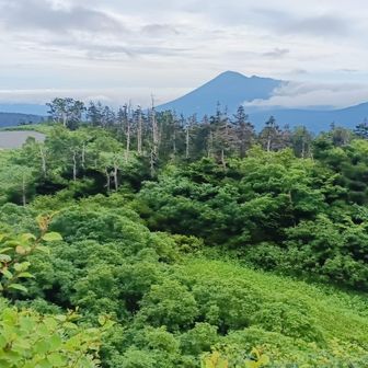 見返峠から岩手山をのぞむ
