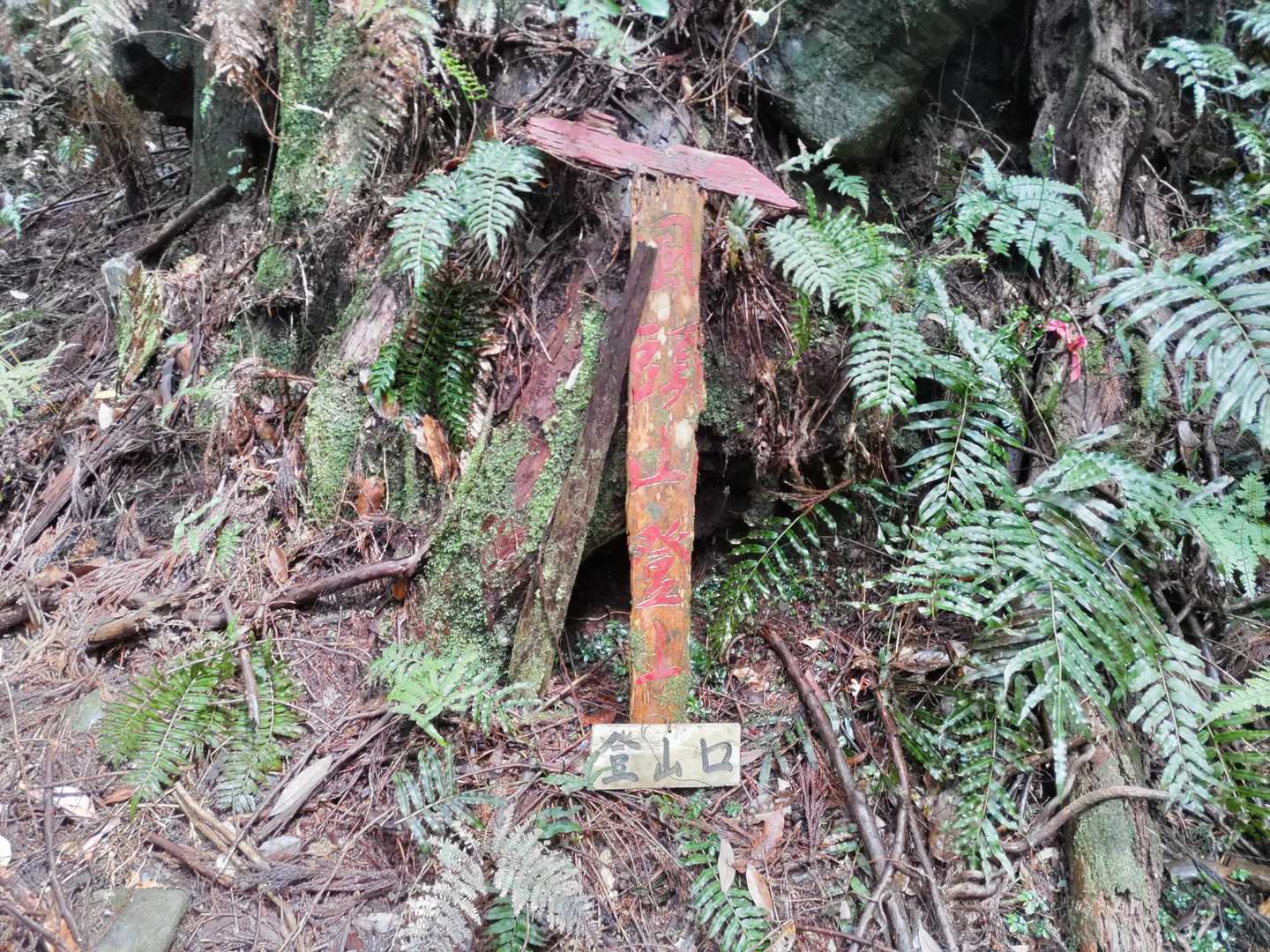 風頭山-大日山 往復コースの写真